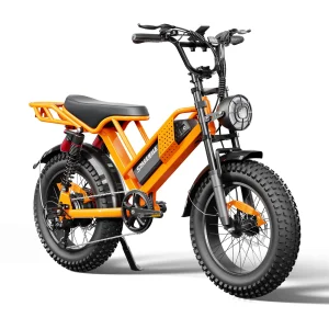 750W Peak 20" Electric Bike 48V 15Ah Removable Battery City E-Bike