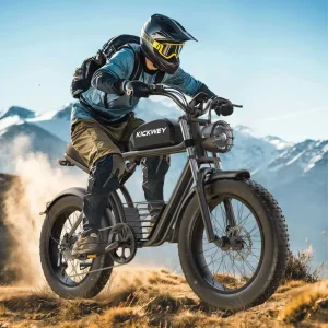 1500W 48V Fat Tire Electric Bike 20" 23Ah High-Speed E-Bike