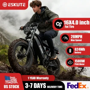 1500W Peak Fat Tire Electric Bike Dual Suspension 48V 13Ah